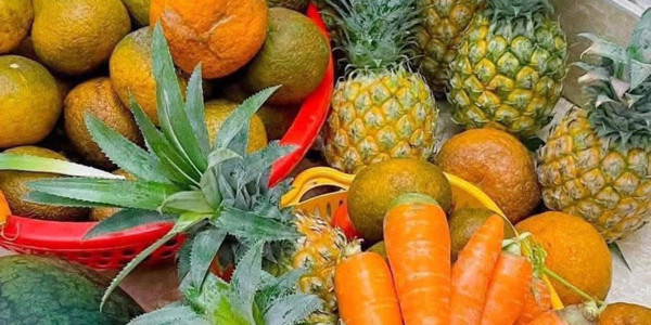Cô Chủ Nhỏ - Nước Ép, Sinh Tố & Cà Phê