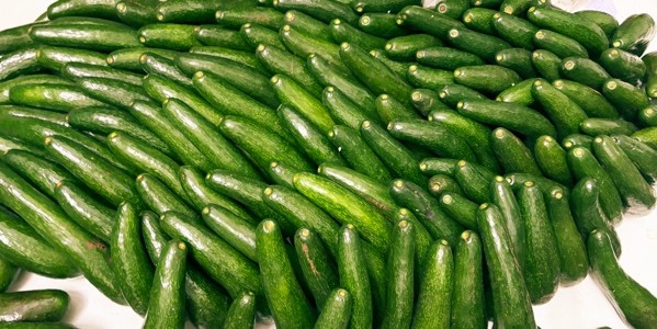 Toet Toet - Trà, Nước Ép & Sinh Tố