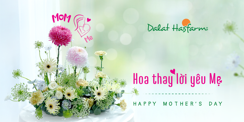 Dalat Hasfarm Shop Hoa Tươi - Nguyễn Văn Linh Đà Nẵng