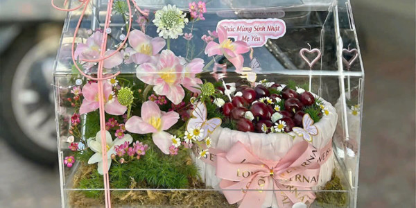 Daily Fruits - Trái Cây Nhập Khẩu - Xô Viết Nghệ Tĩnh