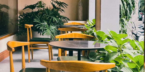 MiHa Coffee - Tô Hiệu