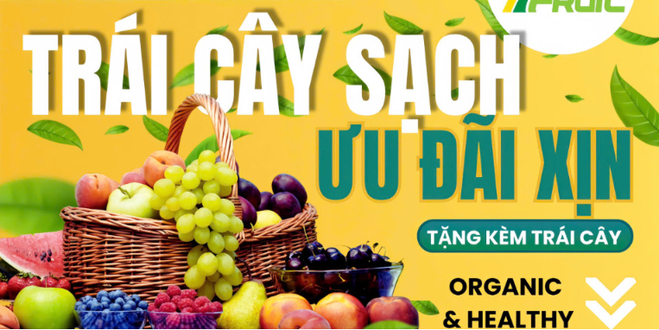 Trái Cây Sạch 7 Fruit - Trái Cây Nhập Khẩu, Trái Cây Việt & Giỏ Trái Cây - Bình Phú