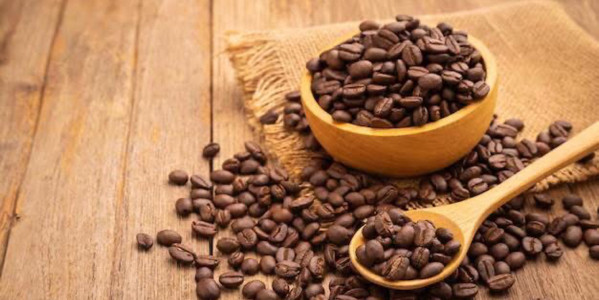 Vỉa Cà Phê - Hoàng Ngọc Phách