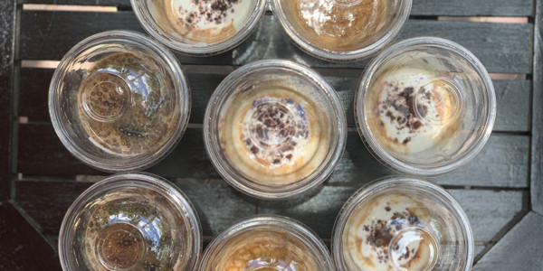 Chút Cà Phơ - 03 Cần Vương