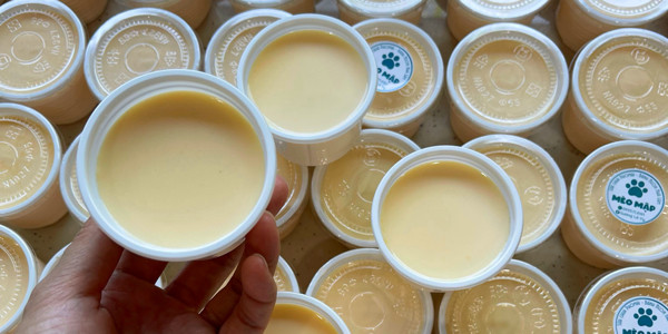 Sữa Chua Phô Mai, Kim Chi & Bánh Ngon Mèo Mập