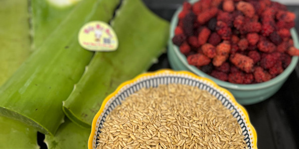 Bếp Mẹ Mai - Đặng Văn Ngữ