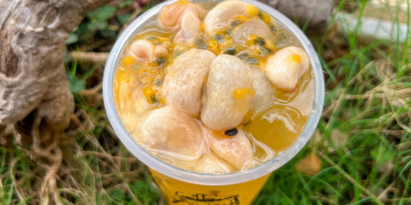 CÔ HAI TRÀ - Lê Văn Thịnh