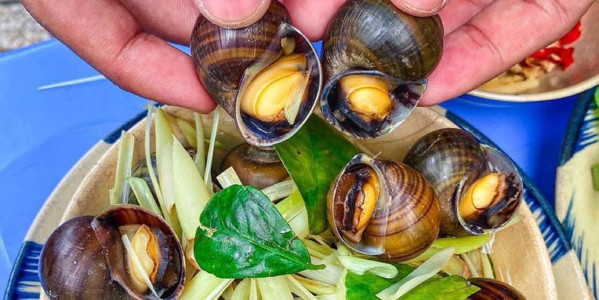 Ốc Hồng Bo - Bắc Giang