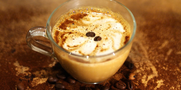 Purrfect Inn - Cà Phê Mèo