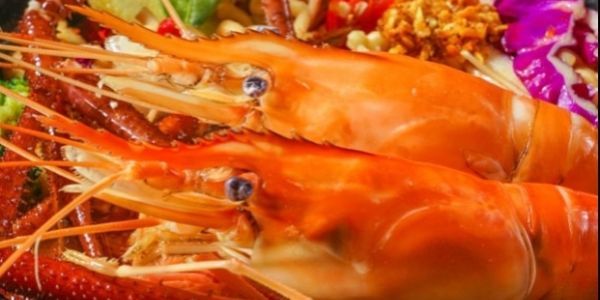 MÌ CAY HAI BÁO, MÌ XÀO & MÌ TRỘN