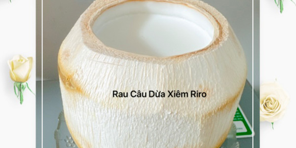 COCONUT RIRO - Nguyễn Thế Lộc