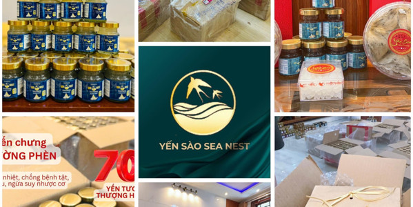 Yến Sào Sea Nest - Lý Triện