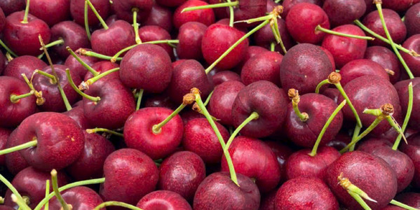 Winfruits - Trái Cây Nhập Khẩu