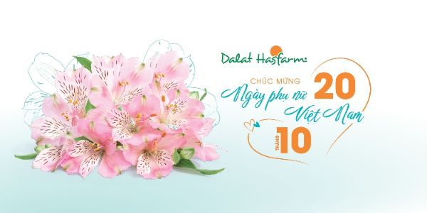 Dalat Hasfarm Shop Hoa Tươi - Phan Văn Trị Gò Vấp