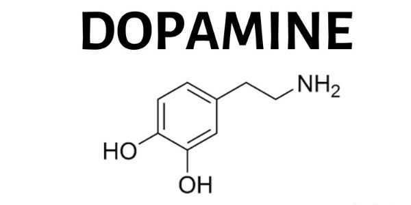 Bếp Chay Dopamine - Lũy Bán Bích