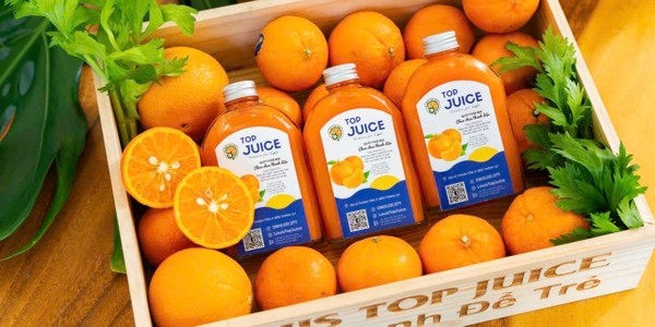 TOP JUICE Q3 - Nước Ép - Trà & Sữa Hạt - Lý Chính Thắng