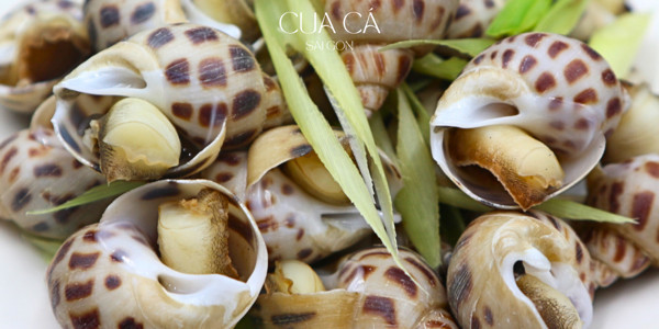 Cua Cá Sài Gòn - Ốc Hương, Cua Cà Mau - Đường Số 59