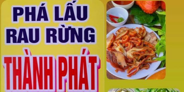 Phá Lấu Thành Phát - Mang Đi - Nguyễn Thái Học