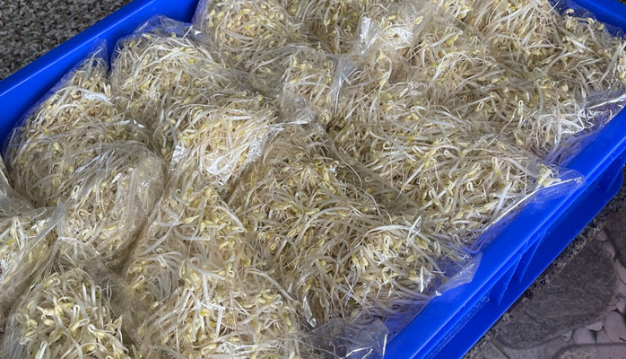 KHUÔN ĐẬU TƯƠI - AN BÌNH