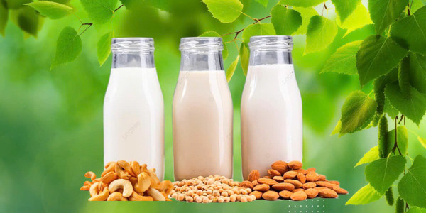 Sữa Hạt & Cháo Rau Củ - Yêu Dinh Dưỡng​