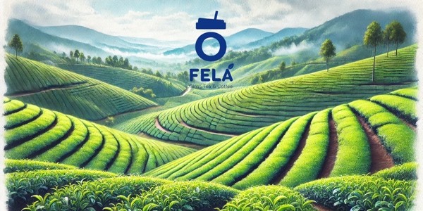 Felá Olong Tea & Coffee - Đường Số 4