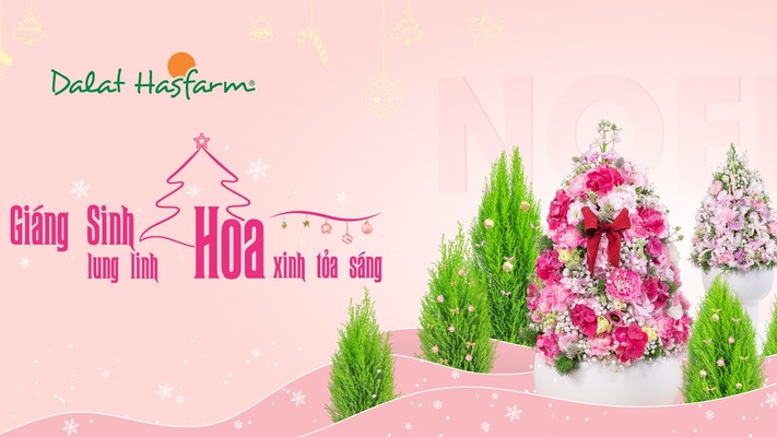 Dalat Hasfarm Shop Hoa Tươi - Nguyễn Văn Linh Đà Nẵng