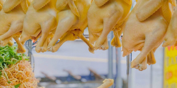 Gà Ta Tam Kỳ - Phạm Hùng