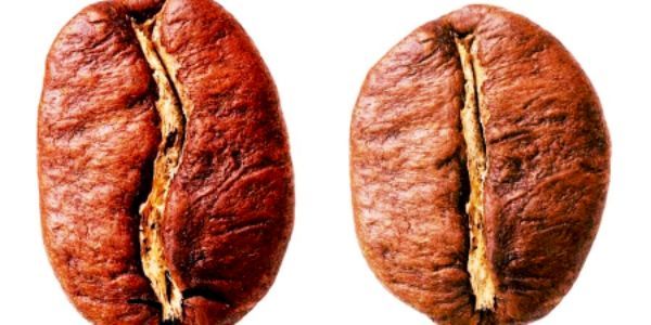 Cà Phê & Võ Thuật – 172 Phú Thượng