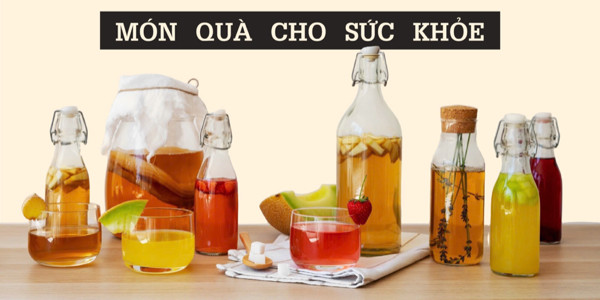 Scobylee - Trà Kombucha - Vạn Phúc