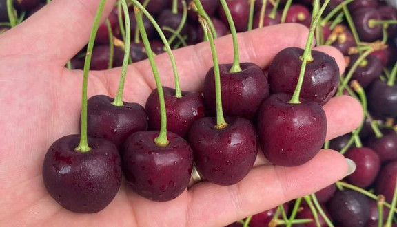 Trái Cây & Đồ Ăn Vặt Nhà Nhi