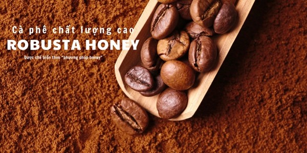 Lite Coffee & Latte - Cà Phê Robusta Honey Chất Lượng Cao