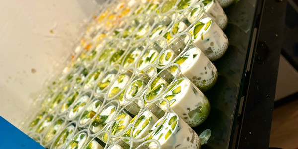 Ty Nguyễn - 66A Đặng Như Mai