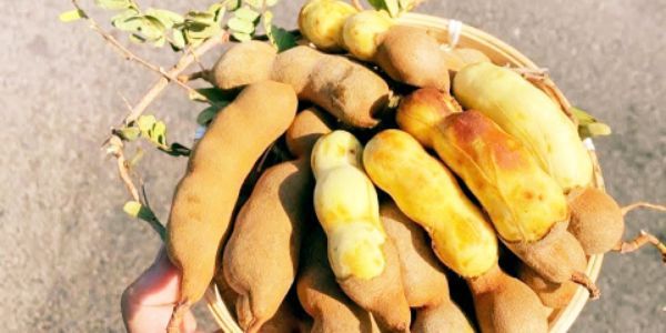 Cửa Hàng Trái Cây Sạch - Trần Mai Ninh
