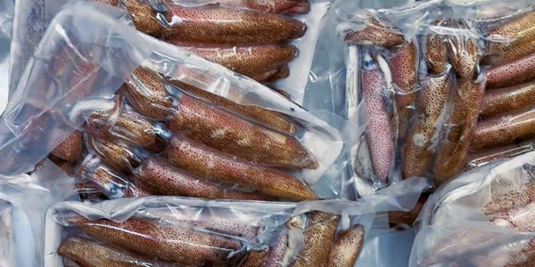 Hải Sản Quảng Ninh - Mực Câu Vip