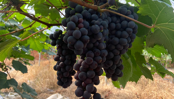 C&D SPACE COFFEE - Quán Cà Phê - Võ Văn Kiệt