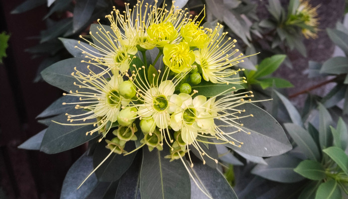 Giang test - Cơm - TCH