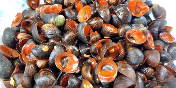 Tám Ốc - Lê Văn Lương