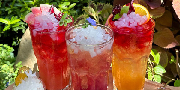 Là Hoa Coffee & Kombucha