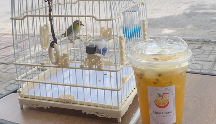 Mina House - Nước Ép, Sinh Tố & Trà Trái Cây - Điện Biên