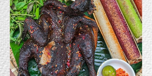 Gà Đen H'Mông - Gà Đen Tây Bắc Lên Mâm - Lý Chính Thắng