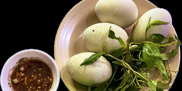 Ngọc - Sâm Bổ Lượng - DT746