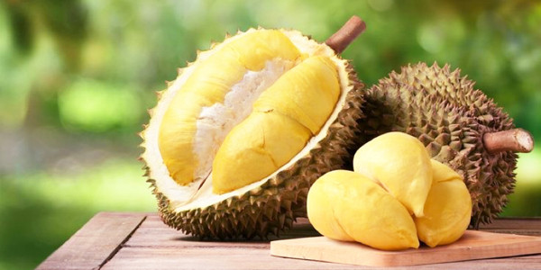 Durino - Sầu Riêng Cao Cấp - Nguyễn Trãi