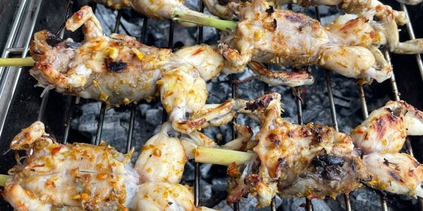 Ô Tà - Trần Hoàng Na