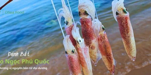 Khô Mực Phú Quốc - Oseafood