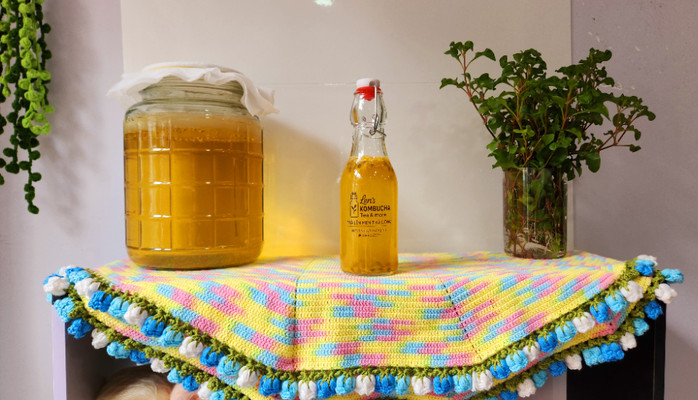 Len's KOMBUCHA Tea & More - Trà Lên Men - Nguyễn Công Trứ