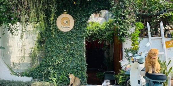 Azalea Coffee - Huỳnh Thúc Kháng