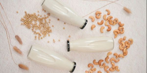 SỮA HẠT - MÓN NGON NHÀ KEM - Lê Văn Lương