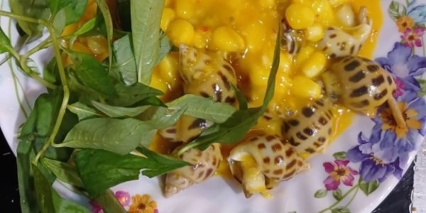 Ốc 79 - Ngô Tất Tố