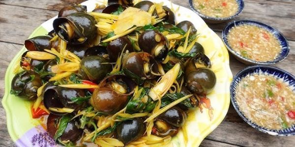 PONY - Matcha & Tea - Nguyễn Khoa Chiêm