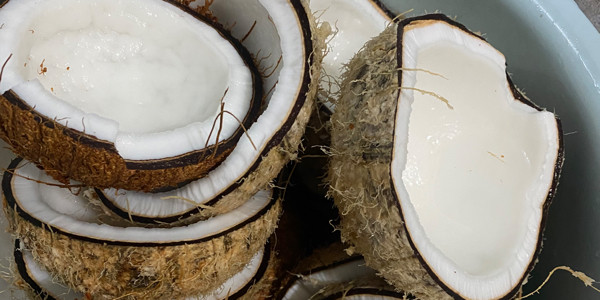 Sữa Dừa Nguyên Vị - Nhà AT